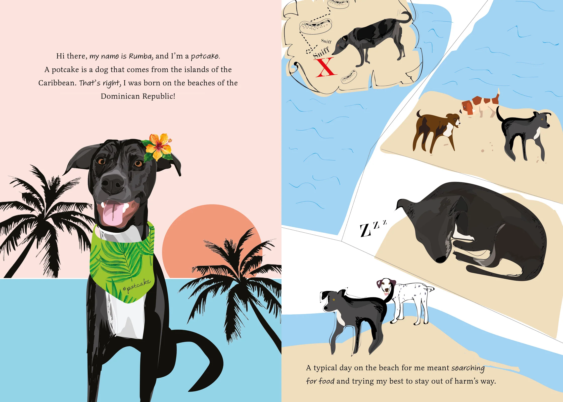 Rescuing Rumba - Image 2