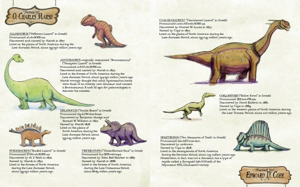 Sticks ’n’ Stones ’n’ Dinosaur Bones - Image 6
