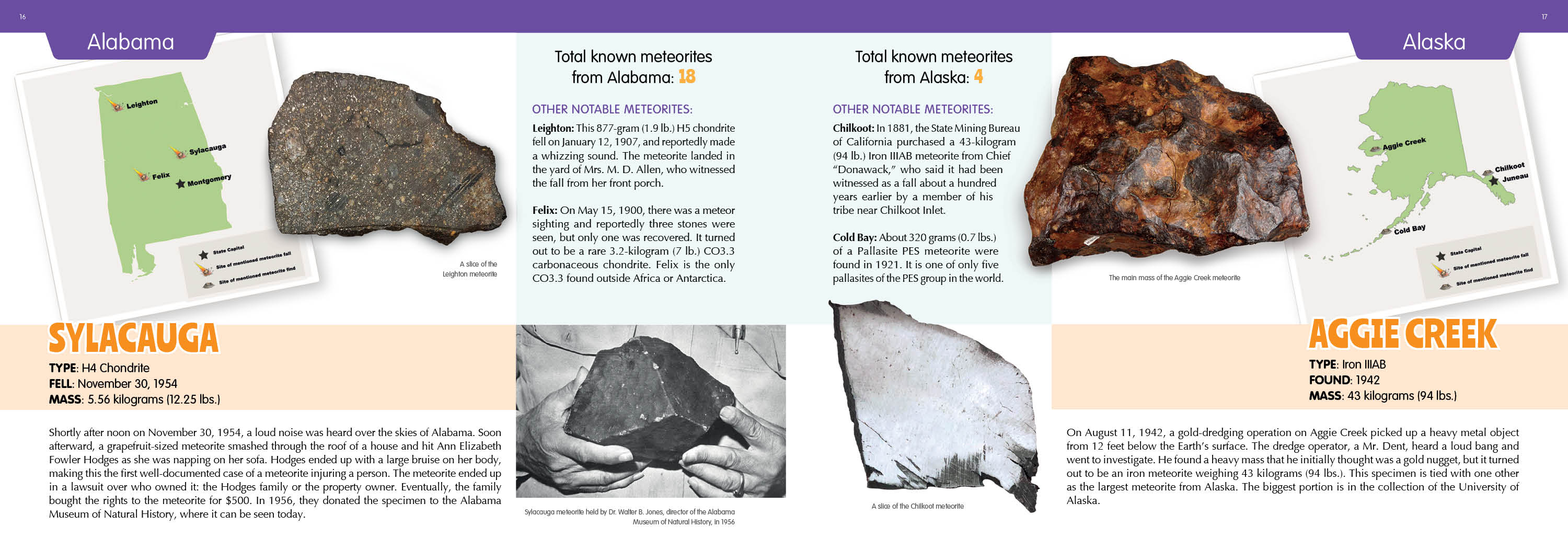 The 50 State Unofficial Meteorites - Image 5