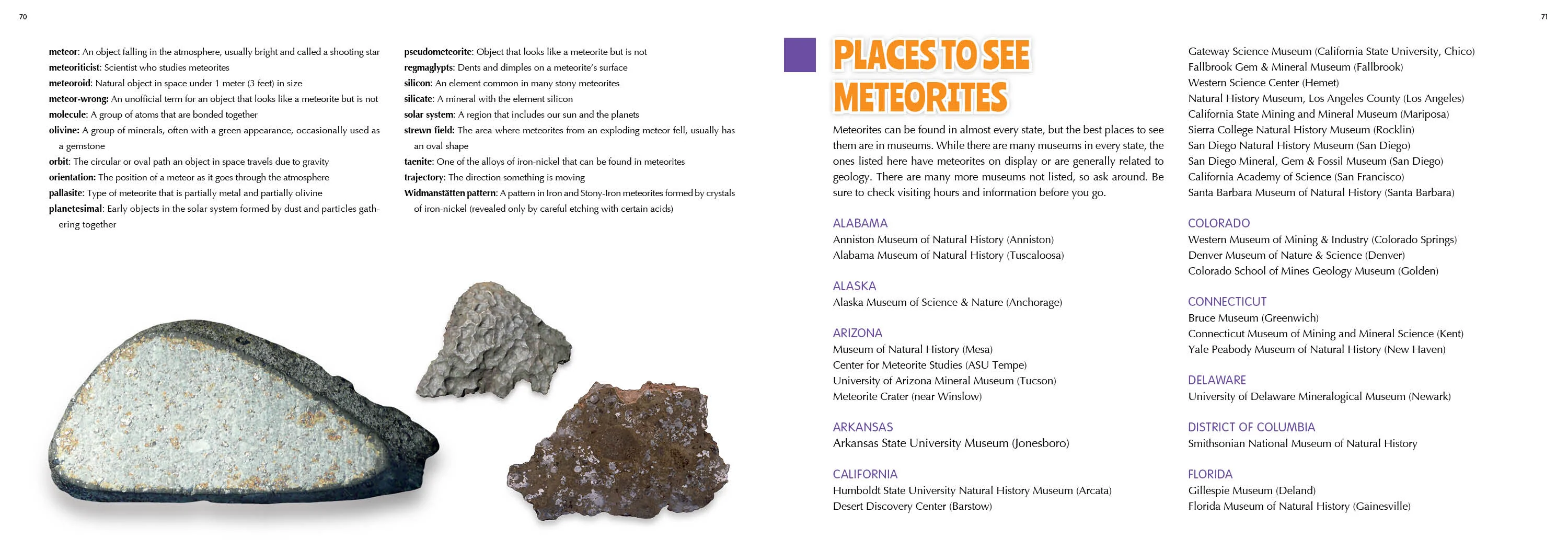 The 50 State Unofficial Meteorites - Image 8
