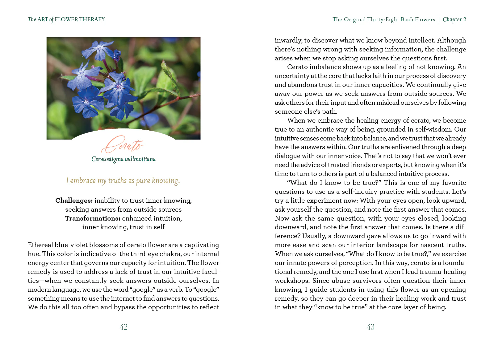 The Art of Flower Therapy - Image 5