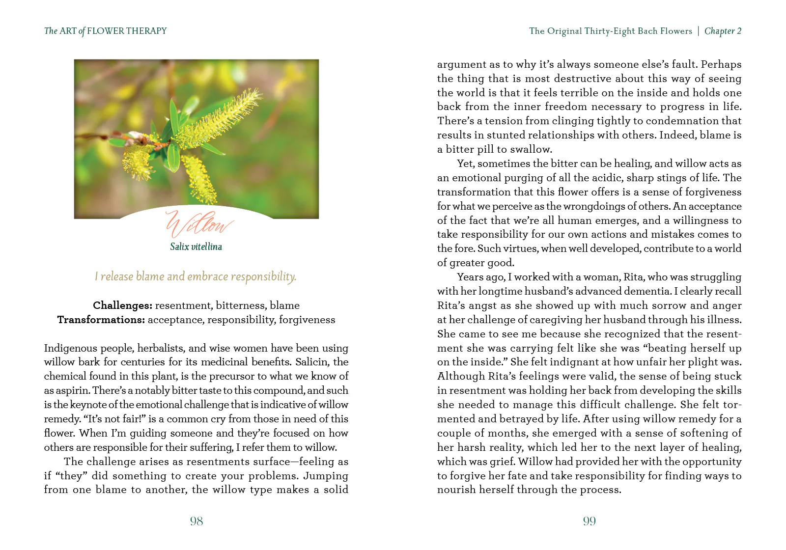 The Art of Flower Therapy - Image 6