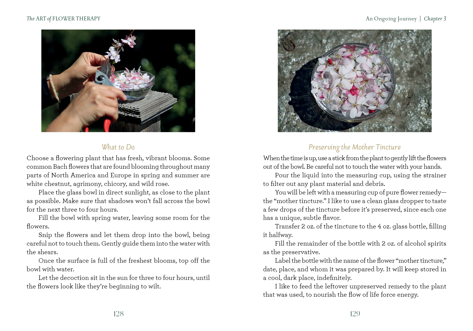 The Art of Flower Therapy - Image 7