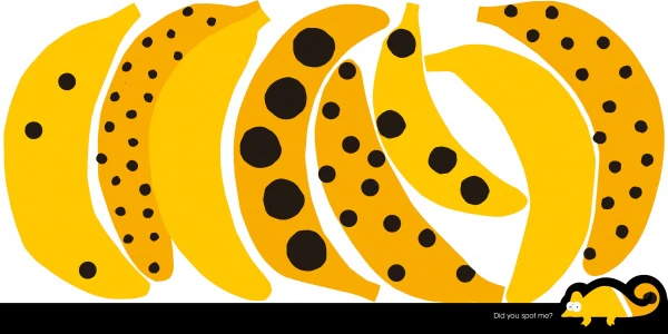 The Chameleon - Image 5