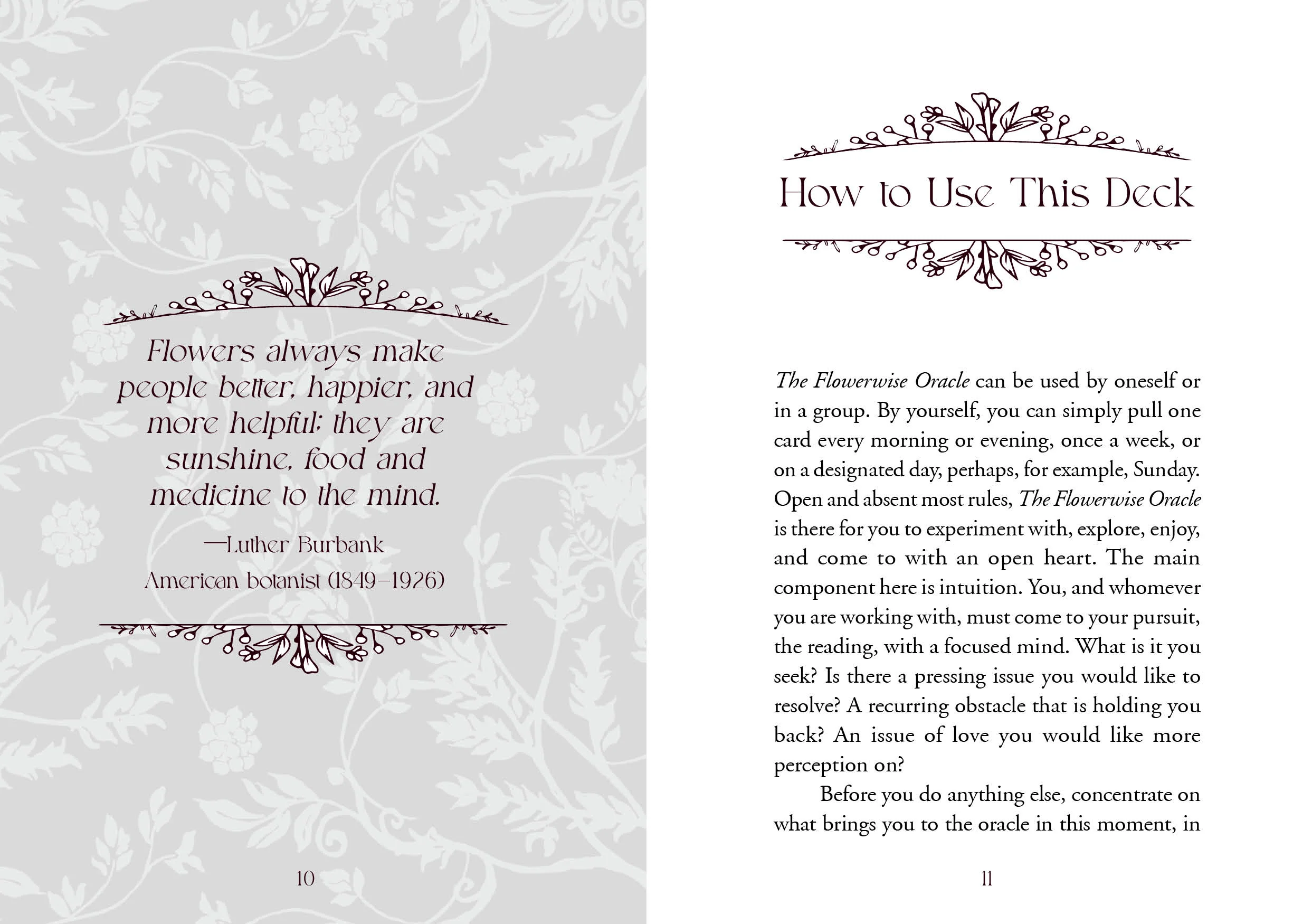 The Flowerwise Oracle - Image 3