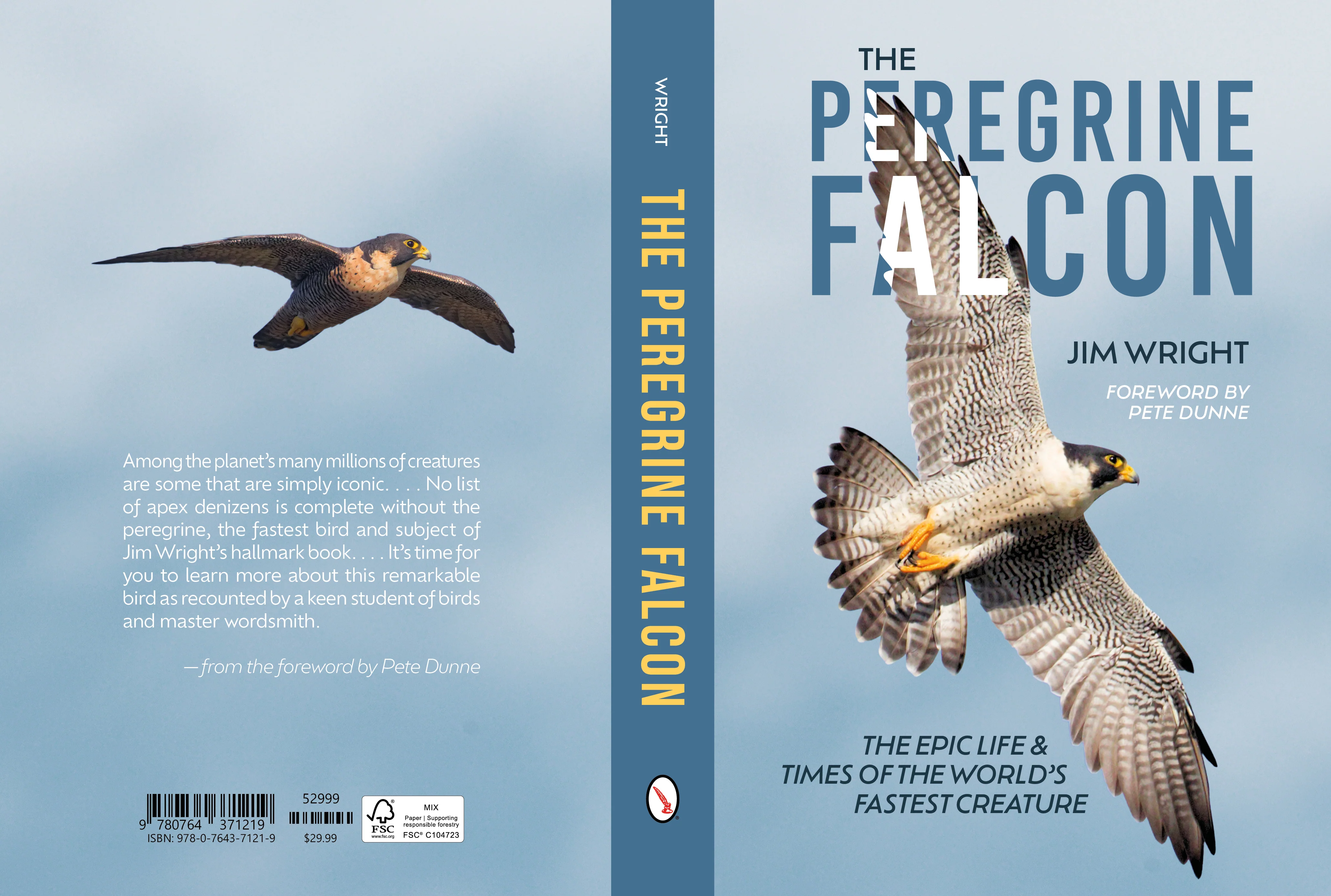 The Peregrine Falcon - Image 10