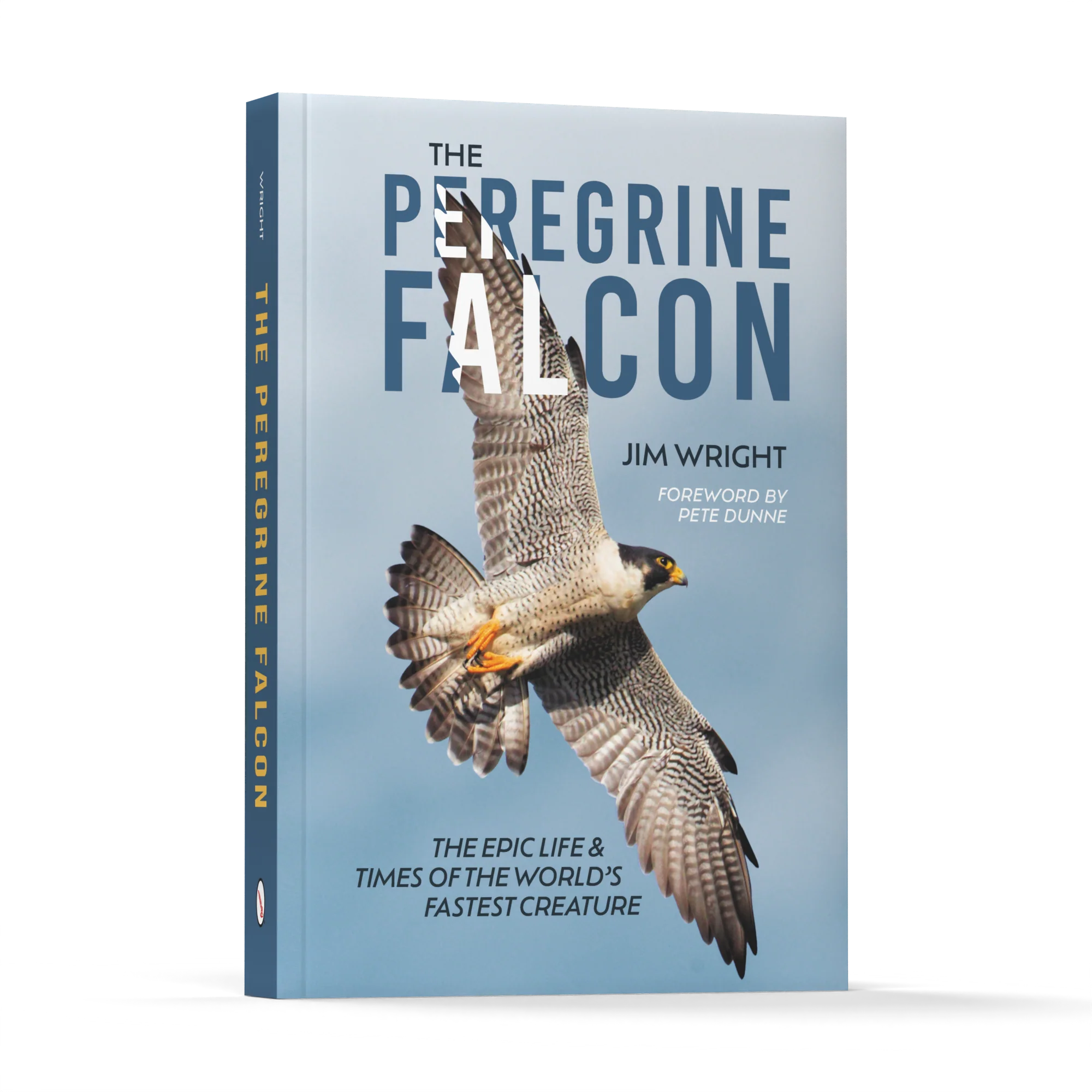 The Peregrine Falcon - Image 12