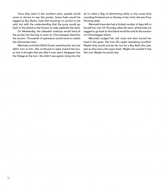 The True Story of Quintilius - Image 4