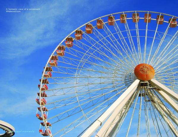 Wildwood Moments - Image 2