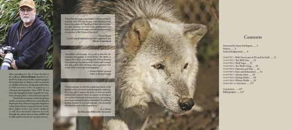 Wolf Sanctuary - Image 3