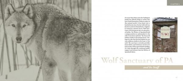 Wolf Sanctuary - Image 4